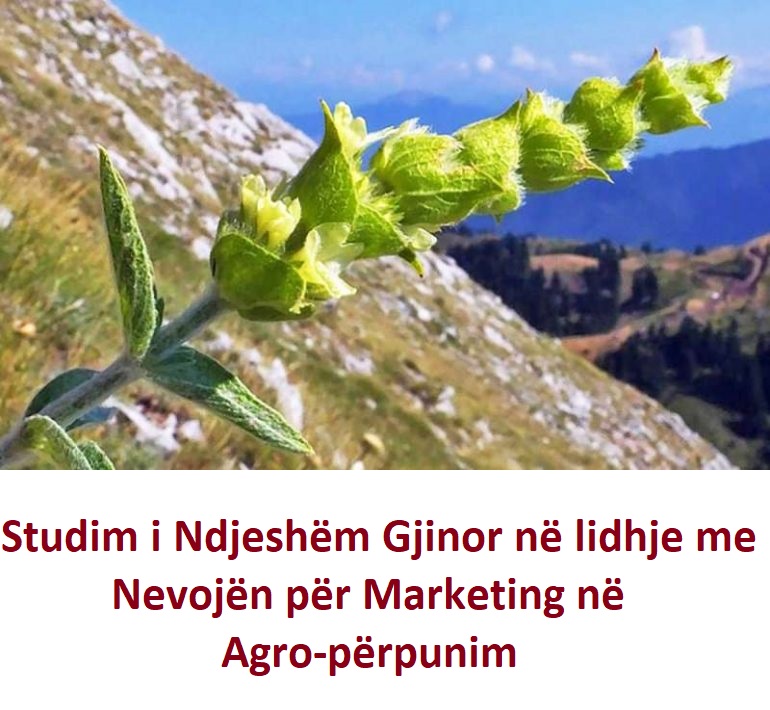 Studim mbi Nevojën për Marketing në Agro-përpunim